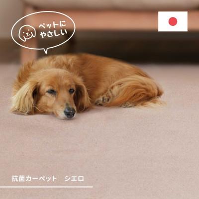 ふるさと納税 泉大津市 ペットにもやさしい　抗菌。防臭カーペット　江戸間4.5帖　1枚　ブラウン　600094545