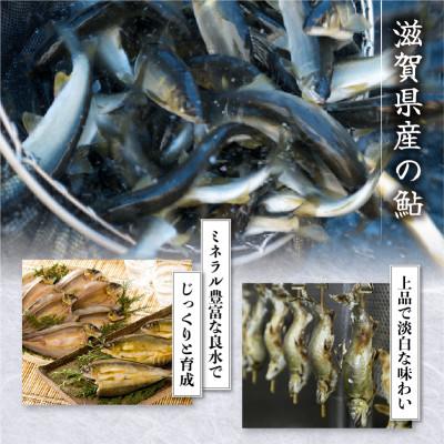 ふるさと納税 彦根市 訳あり 子持ちあゆの塩焼き15尾 簡単調理で食べられる身が締まった国産のブランド鮎 |  | 02