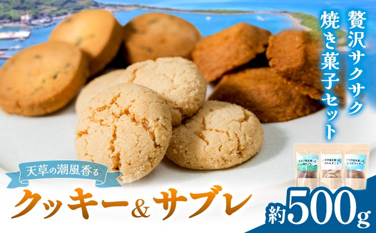 
                  クッキーサブレセット 各約170g×3種 計約500g 株式会社かねこ《30日以内に出荷予定(土日祝除く)》 熊本県 苓北町 お菓子 クッキー サブレ 塩 あおさ 天草 焼菓子 スイーツ おやつ バター 送料無料
                