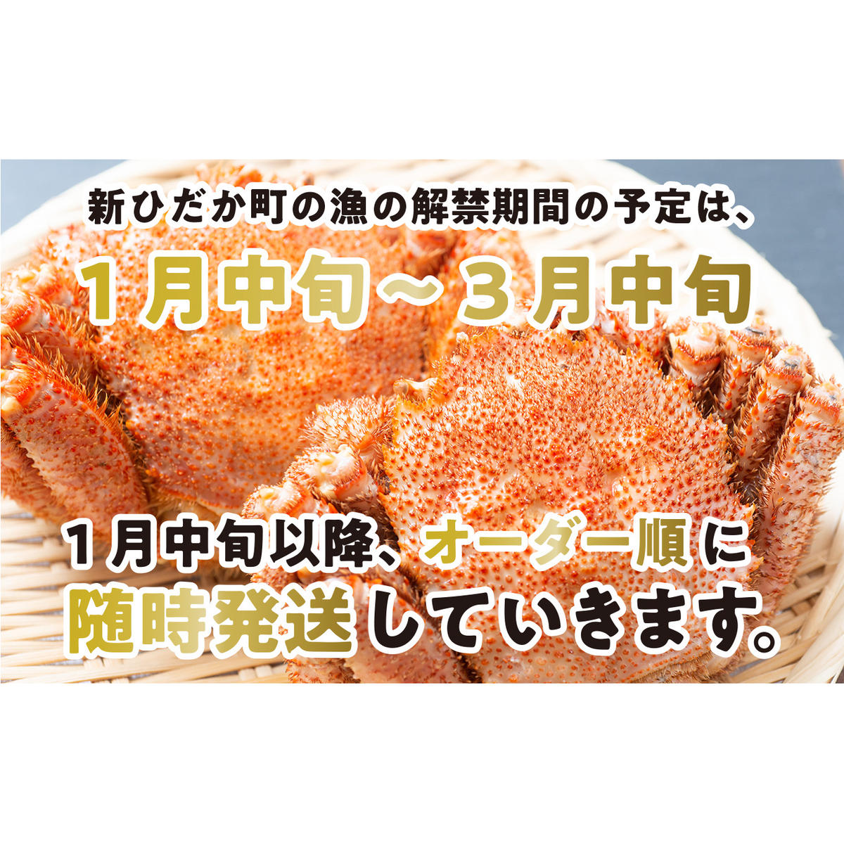 ＜2025年1月から順次発送＞【 定期便 全 3回 】 北海道産 浜ゆで 毛ガニ 3尾 × 3回 （ 計 9尾 ） ＜ 予約商品 ＞ 毛蟹 毛がに かに味噌 カニ味噌 新鮮 旬 ボイル 浜茹で 海鮮 