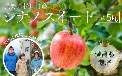 YN12-26A 【先行予約】りんご シナノスイート 約5kg 減農薬栽培 秀品／2026年10月上旬頃から配送予定 // りんご リンゴ 林檎 シナノスイート 減農薬栽培 農家直送 農家支援 長野県 松川町産