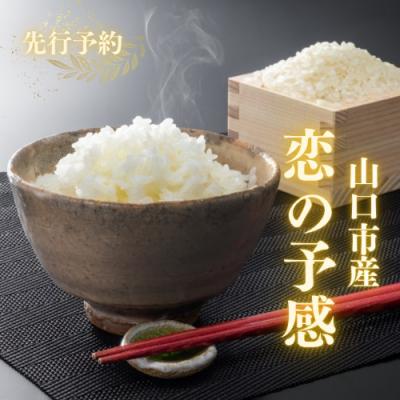 ふるさと納税 山口市 農家直送!山口市産新米「恋の予感」精米5kg D397 |  | 01