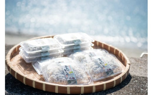 【愛媛県・佐田岬直送】木嶋水産の群青ちりめん（10g×8袋×5箱） 【ふるさと納税 人気 おすすめ ランキング 魚介類 海産物 魚 釜揚げ しらす シラス 小分け やみつき ご飯のお供 おつまみ 酒の肴 おやつ しらす丼 サラダ 海産物 魚 冷凍 お取り寄せ グルメ 食品 国産 木嶋水産 愛媛県産 愛媛県 伊方町 送料無料】 IKTP002