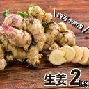 【ふるさと納税】ミネラル豊富なエコ栽培生姜2kg Fms-09 しょうが ジンジャー おかず 野菜 大容量