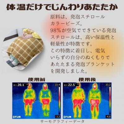 ふるさと納税 宍粟市 大切な人に贈りたい「 発泡ブランケット 」　BN1　 |  | 02