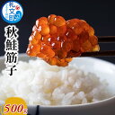 【ふるさと納税】秋鮭 筋子 500g　魚介類 魚貝類 加工食品 秋鮭筋子 500g