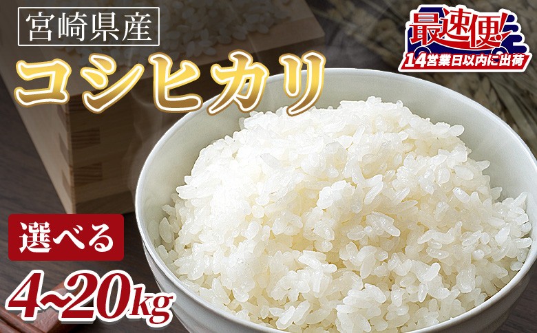 
            令和7年度産新米 宮崎県産コシヒカリ 14営業日以内に順次出荷【 選べる 数量 国産 米 お米 最速便 白米 精米 こしひかり ごはん ご飯 白飯 4kg 5kg 7kg 10kg 15kg 20kg 食品 】
          