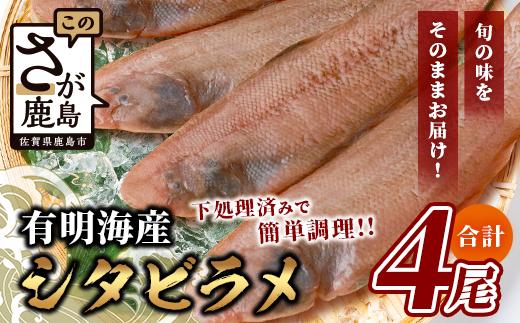 
【下処理済で簡単調理】有明海産 シタビラメ約150g×4尾【合計約600g】煮つけ・唐揚げにおススメ【脂ののって美味しい】鮮度抜群 B-568
