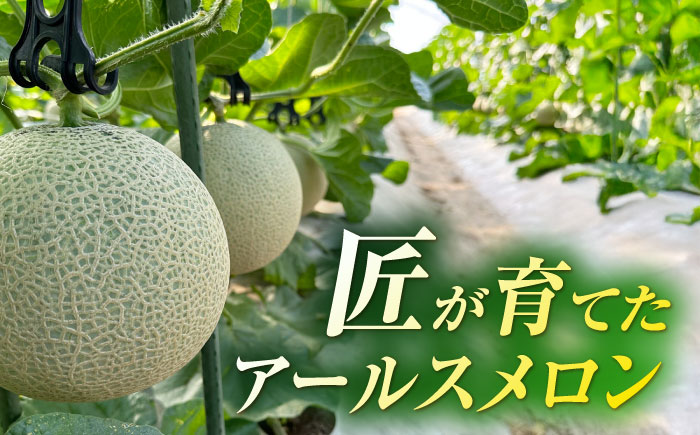 【先行予約】山鹿の恵み!匠の育てたアールスメロン（マスクメロン） 約1.8kg以上×1玉【きもと農園】 [ZFQ003]