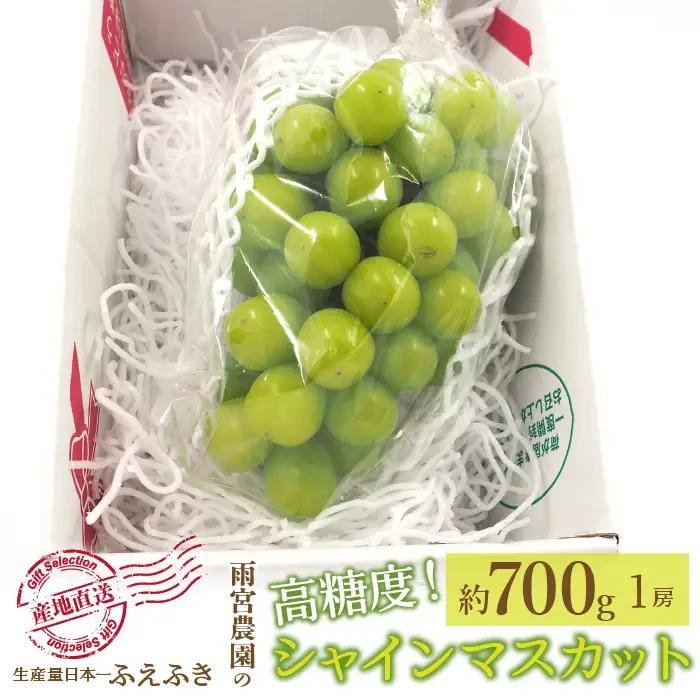 【2026年発送★先行予約】厳選！山梨県笛吹市産 シャインマスカット 約700g（1房） 156-005-26y