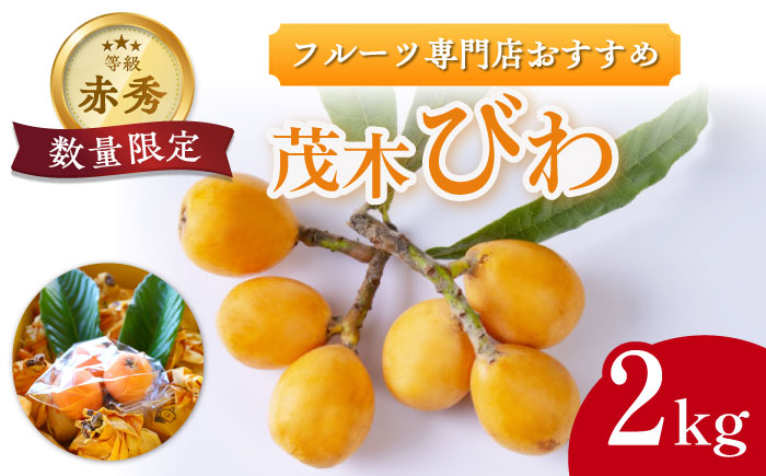 
            【先行予約】＜5月下旬～発送＞長崎 茂木びわ 最上等級 約2kg / びわ ビワ 枇杷 果物 フルーツ 長崎 長崎県/フルーツいわなが [42AABC004]
          