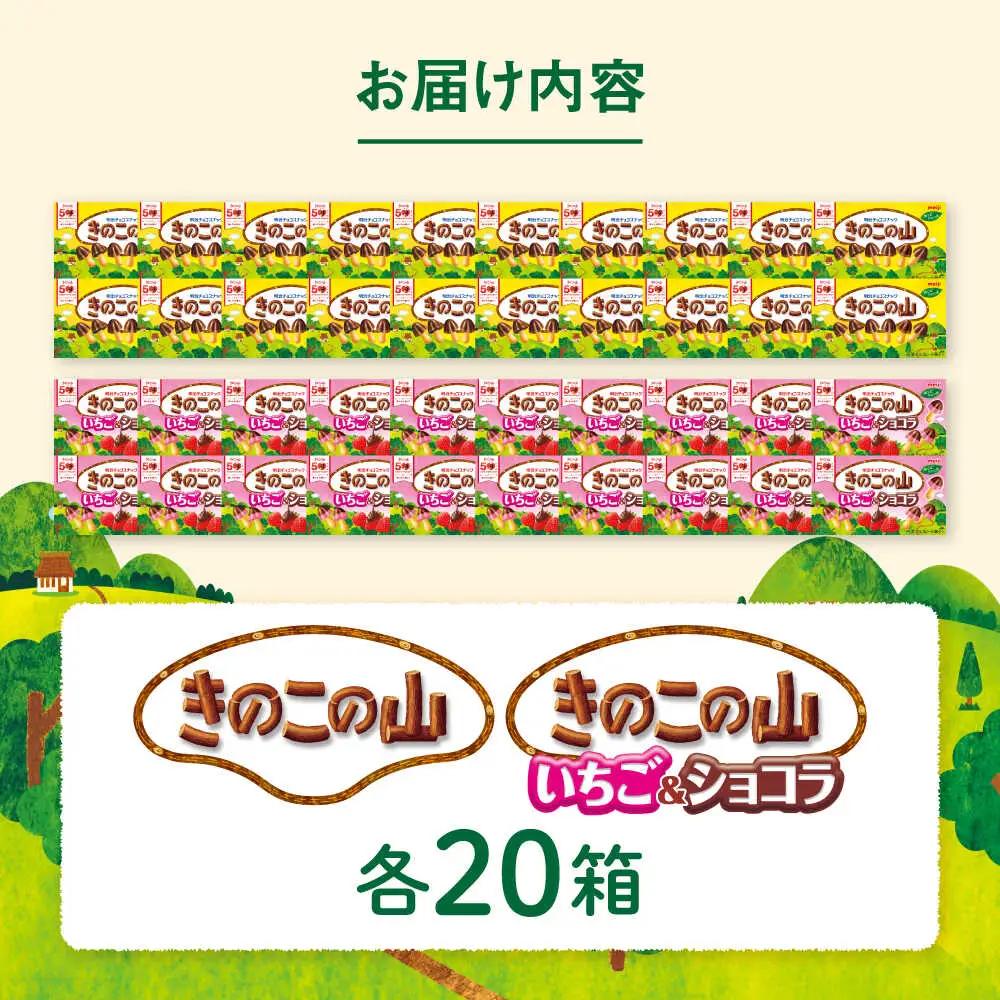 明治 きのこの山 きのこの山いちご＆ショコラ 各20箱（計40箱）[AOAA064]