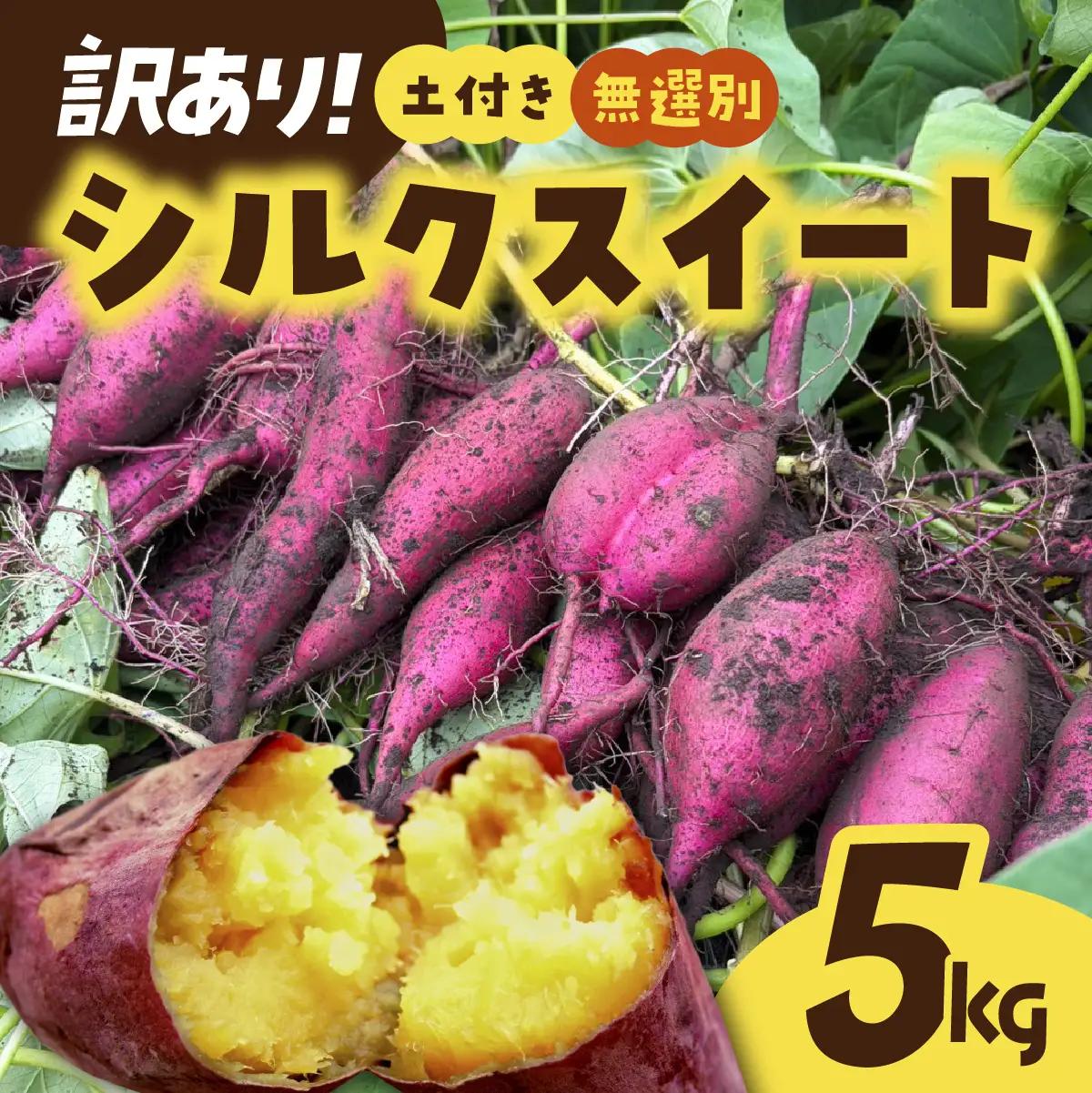 【訳あり】土付きさつまいも シルクスイート (無選別) 5kg | 新物 シルクスイート しるくすいーと