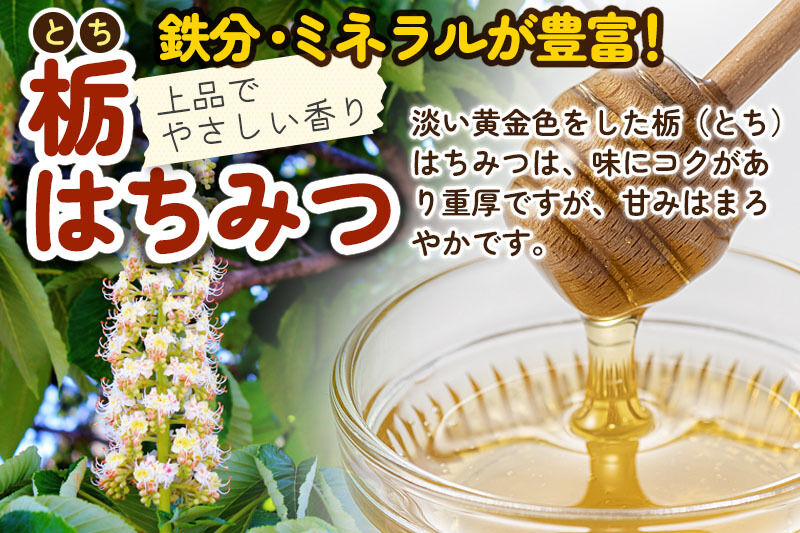 《先行受付》【新蜜】小松養蜂場 はちみつ 秋田県産 100％ ピッチャー入 栃蜂蜜 250g [はちみつ ハチミツ 蜂蜜 国産 秋田県産100％ 自家採蜜100％]