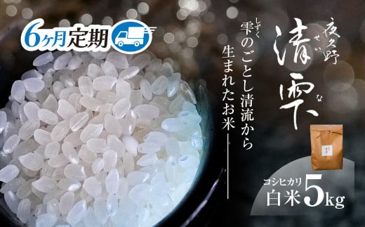 ＜令和7年9月末より発送予定！＞【６ヶ月定期便】京都夜久野産　清雫（せいな）　コシヒカリ＜白米5kg×6回＞/  令和7年度産 先行 定期 5kg 収穫 6回 白米 夜久野 京都 京都府 福知山 FCDB031
