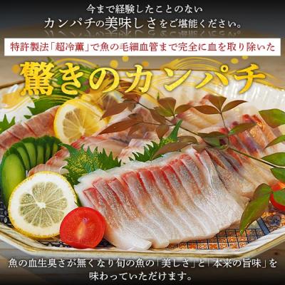 ふるさと納税 西予市 <異次元の鮮度!「超冷薫」冷凍カンパチ ロイン(5kg)>　かんぱち　海鮮　魚介　西予 |  | 01