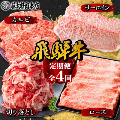 【ふるさと納税】【発送月固定定期便】【岐阜県産　飛騨牛】4部位制覇　サーロイン・カルビ・切り落とし・ロース全4回【配送不可地域：離島】【4087546】