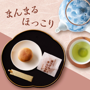 前川菓子屋のありうらまんじゅう 20個 ／ 饅頭【B148】
