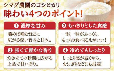 【令和7年産】真空パック 福井県産こしひかり 300g(約2合) × 10パック 計3kg 小浜市 / シマダ農園 [BFAV004] 