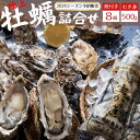 【ふるさと納税】牡蠣 宮城県 奥松島産 極上カキ 詰合せ むき身 500g 1本 ＋殻付きカキ 8個 《2024シーズン受付開始！2024年11月中旬から順次発送予定》 殻付きかき むき身 牡蠣 カキ 宮城県 東松島市 オンラインワンストップ 対応 自治体マイページ