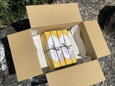 カステラ 2本 銘菓