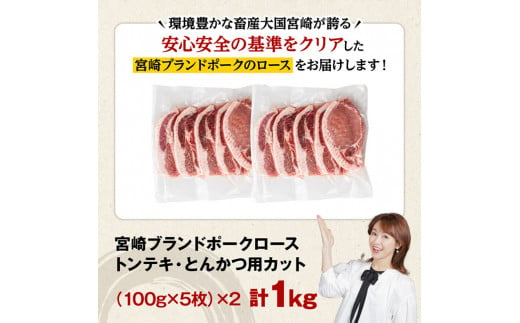 宮崎ブランドポーク ローストンテキ・とんかつ用カット 1kg　豚肉[E11302]