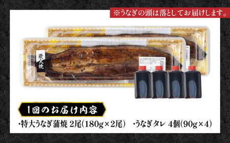【6回定期便】国産 本格炭火焼 特大 うなぎ 蒲焼 2尾（180g×2尾）/炭火焼古賀[UDH041]