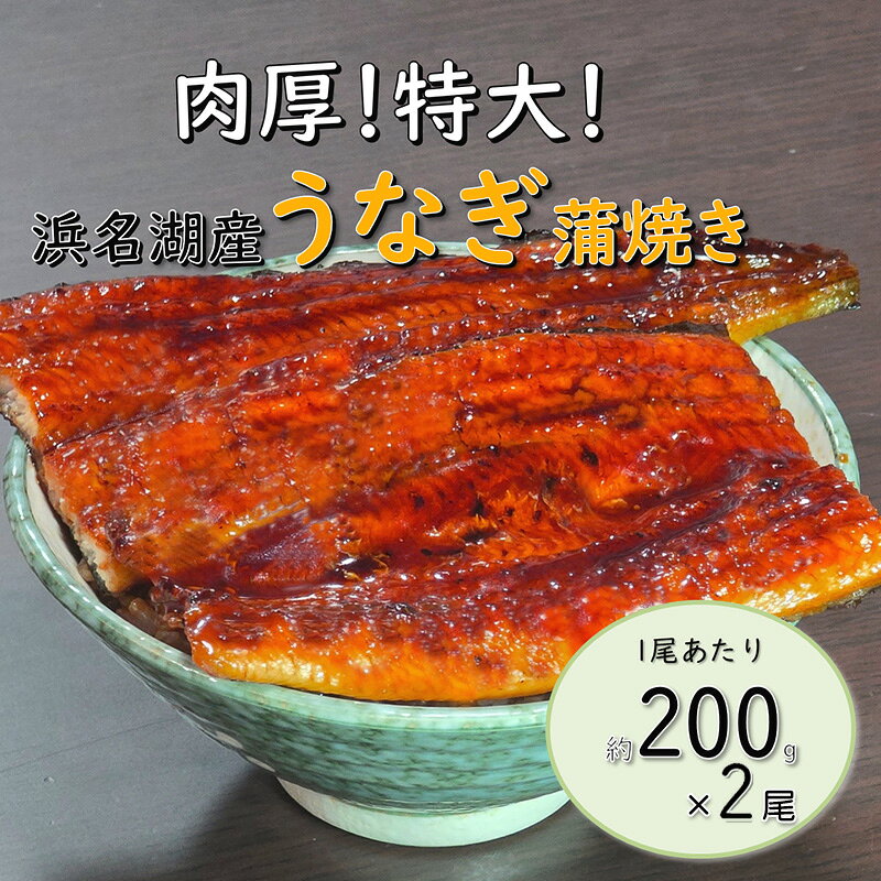 【ふるさと納税】鰻 冷凍 浜名湖産うなぎ蒲焼き 200g×2尾 特大 真空パック タレ 山椒付き ウナギ 蒲焼 工場直送 国産 浜松市 静岡