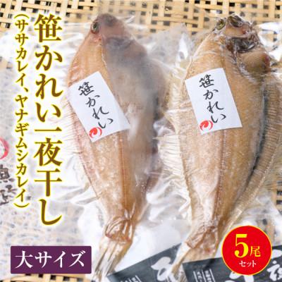 ふるさと納税 京丹後市 笹かれい一夜干し(ササカレイ、ヤナギムシカレイ)大サイズ 5尾セット |  | 01