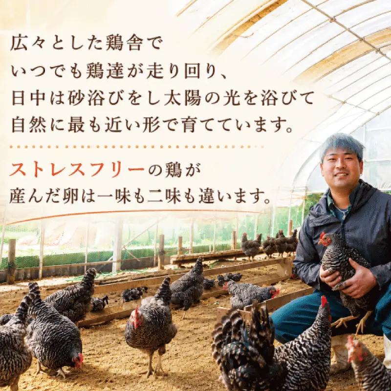 卵 朝採れ 平飼い 自然卵 60個 割れ補償付き