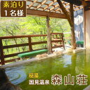 【ふるさと納税】 秘湯 おすすめ 温泉 宿泊券 宿泊 1名 旅行券 素泊まり 素泊り 泊まり 国見温泉 森山荘 1名様 露天風呂 お風呂 旅行 湯治 自然 食事なし ソロ旅 湯ノ花 湯の華 自然豊か レジャー チケット 観光 旅館 合宿 遠征 癒やし リフレッシュ 岩手県 雫石町 東北