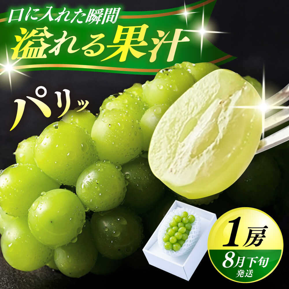 【ふるさと納税】【期間限定】日田産シャインマスカット1房(約500g)　日田市 / 南国フルーツ株式会社 ブドウ 葡萄 ぶどう シャインマスカット 1房 10000円 1万円[ARET004]