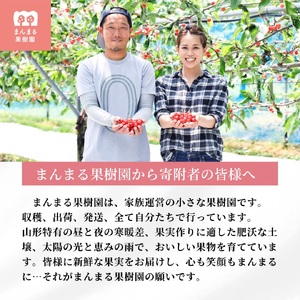 さくらんぼ（紅秀峰）８００ｇ　0055-2504