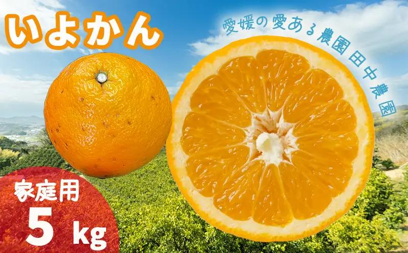 【2027年1月上旬頃から順次発送】伊予柑 いよかん 約5kg 家庭用 【TNN011】