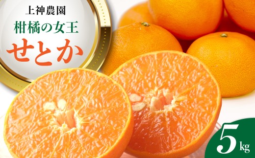 【先行受付】 【2027年2月初旬～発送】 上神農園の広島県産 せとか 約5kg みかん オレンジ ジューシー 上神農園 広島県 呉市 広島 呉 ku011-009-26