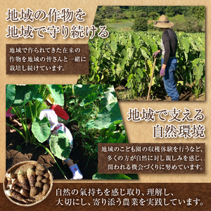 上野原産　津久井在来大豆 3ｋｇ　～栽培期間中農薬化学肥料不使用栽培 上野原の地形が作った雑穀の歴史～