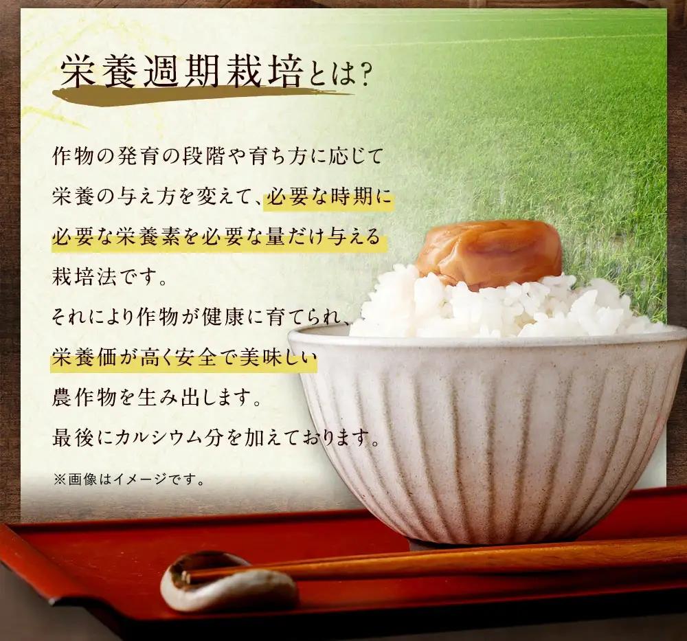 幸田町産「栄養週期栽培米」あいちのかおり 10kg 白米 精米 お米 米 ご飯