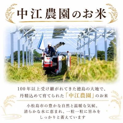 ふるさと納税 小松島市 令和7年産 コシヒカリ 10kg 白米 米 数量 限定 こしひかり 10キロ 米10kg |  | 01