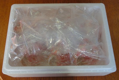 ずわいがに甲羅盛り120g×8個 F-59004