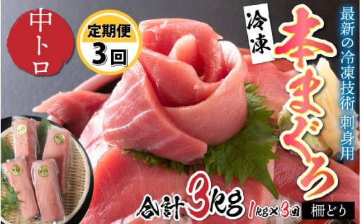 
【定期便】【3ヶ月連続お届け】刺身用！本マグロ 中トロ（柵どり） 1kg × 3回 【最新の冷凍技術】[K-11001]
