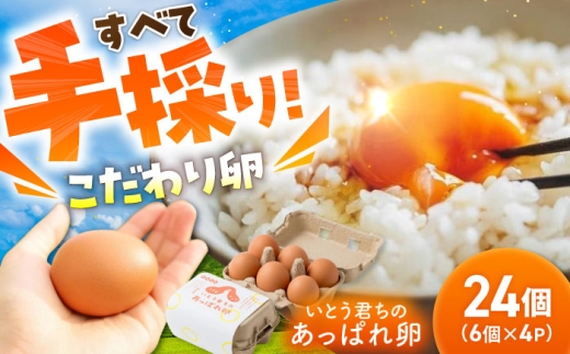 【たまご 卵 新鮮】あっぱれ卵 24個（6個×4P）たまご 濃厚 たまご 卵 タマゴ ギフトBOX 卵料理 鶏卵 たまご オムレツ 卵かけご飯 卵焼き たまご tamago 国産 朝ごはん 卵かけご飯 うみたて新鮮たまご 濃厚卵 たまご タマゴ egg オムレツ タマゴ 卵 新鮮 産みたて卵 たまご 新鮮 朝ごはん 濃厚 黄身 大自然 タマゴ 佐賀県 武雄市 /いとう養鶏場 [UAQ001]