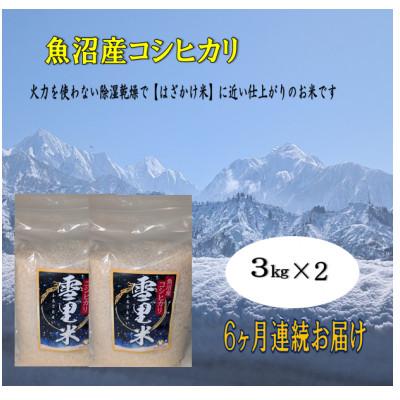 ふるさと納税 魚沼市 【毎月定期便】生産者直送!魚沼産コシヒカリ雪里米(ふるさとまい) 精米 3kg×2袋全6回
