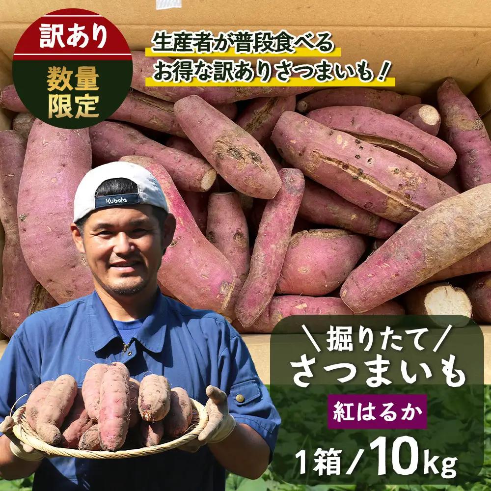 【訳あり！】【先行予約：9月中旬配送～】掘りたて さつまいも 紅はるか 10kg (自宅で簡単レシピ付き）FR-208 | 秋の味覚 2026年秋収穫 サイズランダム 家庭用 新物 さつまいも サツマイモ 感動サツマイモ 焼き芋 べにはるか 野菜 おやつ おかず お弁当 煮物 芋ごはん 味噌汁 産地直送 鹿児島県 南大隅町 株式会社フォレスト