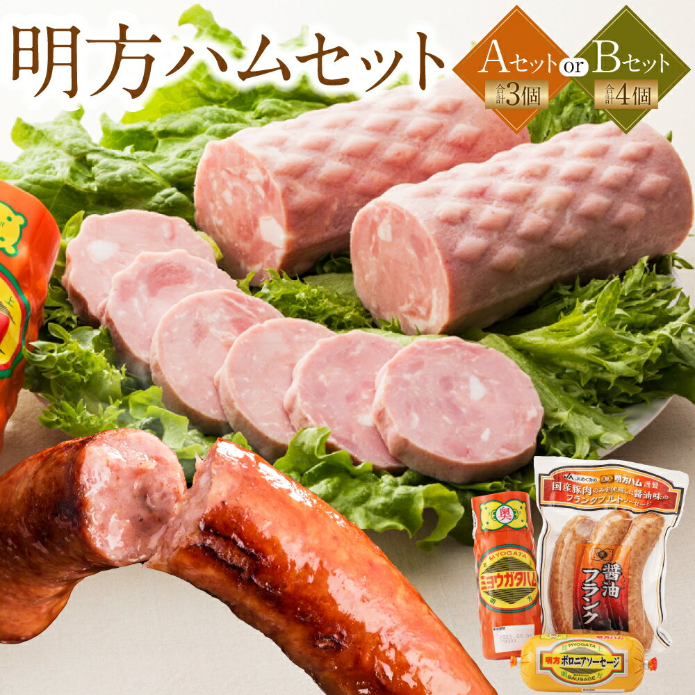 【ふるさと納税】 《選べるセット》明方ハム 《Aセット》または《Bセット》 | 肉 豚肉 国産豚肉 明方 ハム ソーセージ フランク 詰め合わせ ギフト 贈り物 プレゼント お歳暮 計3個 計4個 おつまみ つまみ 惣菜 おやつ ふるさと 岐阜 みのかも 岐阜県 美濃加茂市 送料無料