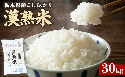 令和7年産 栃木県産コシヒカリ 「漢熟米」30kg（5kg×6袋） 〔P-418〕 ｜ 米 精米 お米 こめ 単一米