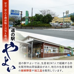 かぼす4kg（種なし）特産品 フルーツ 果物 柑橘 種無し 道の駅やよい 大分県 佐伯市【EN13】【道の駅やよい】