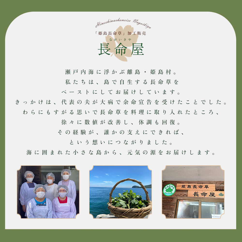 姫島村産 長命草使用 シフォンケーキ 4個 P2