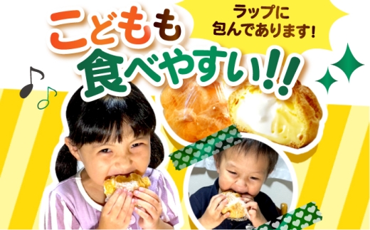 【4回定期便】シュークリーム ダブルクリーム ラップシュー 6個入り / 洋菓子 お菓子 スイーツ 個包装 【配送不可地域：北海道、北東北（秋田、青森、岩手）、九州、沖縄、離島】 小浜市 / 志保重 