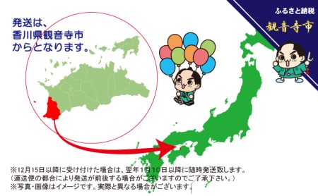 【除菌】流せる大判・厚手・トイレクリーナー 10枚入り 2個パック 20個セット 雑貨 日用品 日本製 除菌効果 水で流せるシート 防災 防災グッズ 