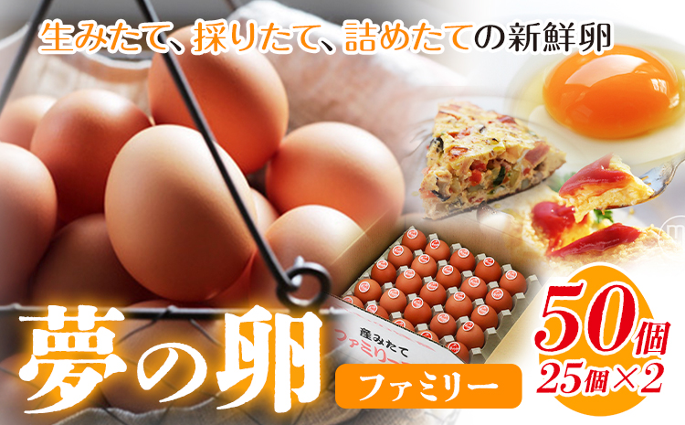 卵 たまご 赤玉 夢の卵 ファミリー 50個《90日以内に出荷予定(土日祝除く)》株式会社めぐみ 岡山県 浅口市 送料無料 25個 × 2セット たっぷり 家族 食卓a-9